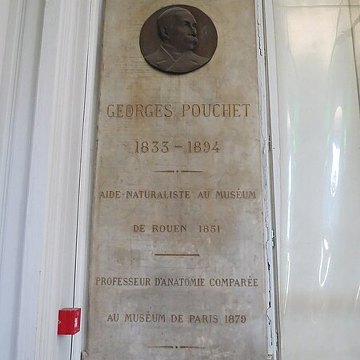 Photo de Muséum dhistoire naturelle de Rouen