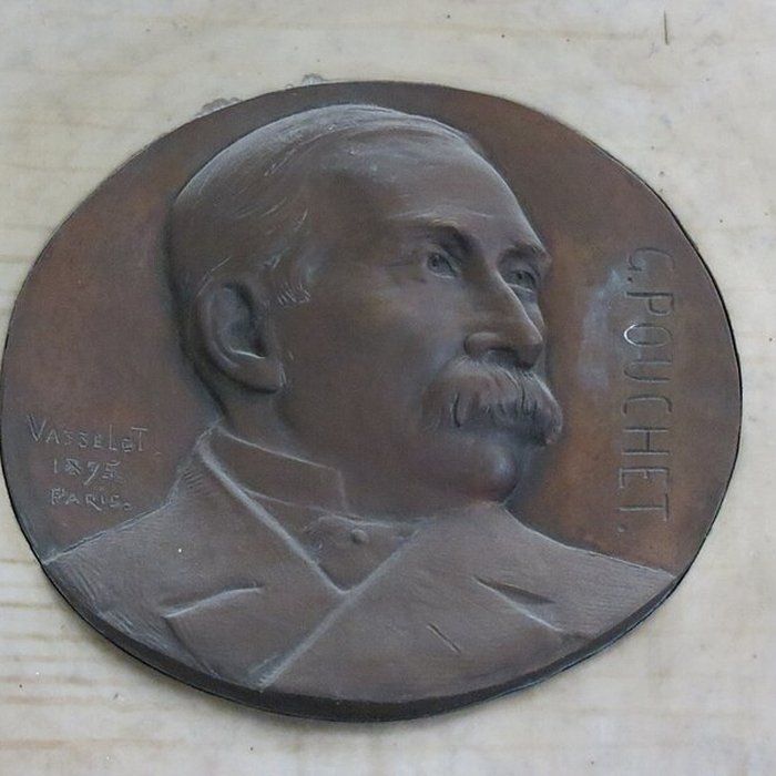 Photo de Muséum dhistoire naturelle de Rouen