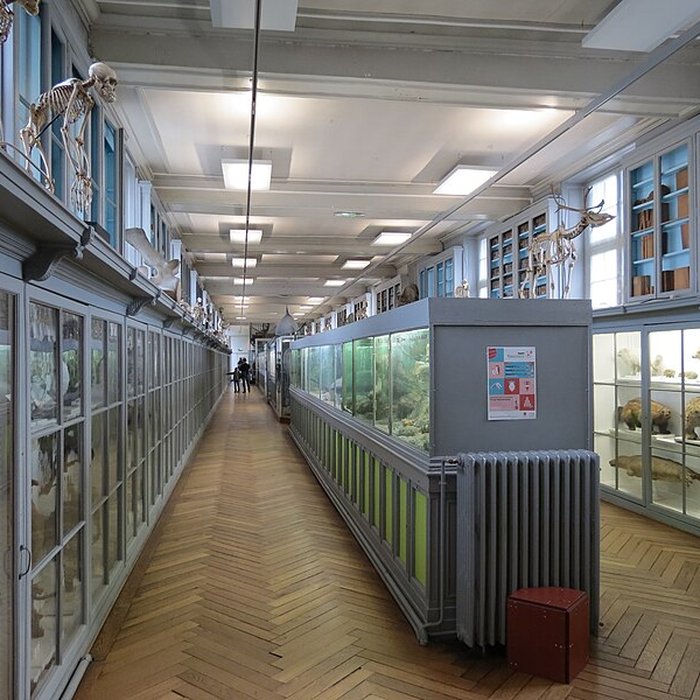 Photo de Muséum dhistoire naturelle de Rouen