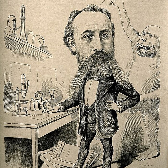 Photo de Muséum dhistoire naturelle de Rouen