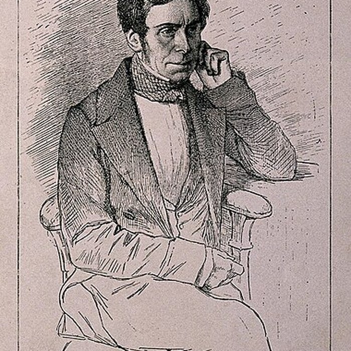 Photo de Muséum dhistoire naturelle de Rouen