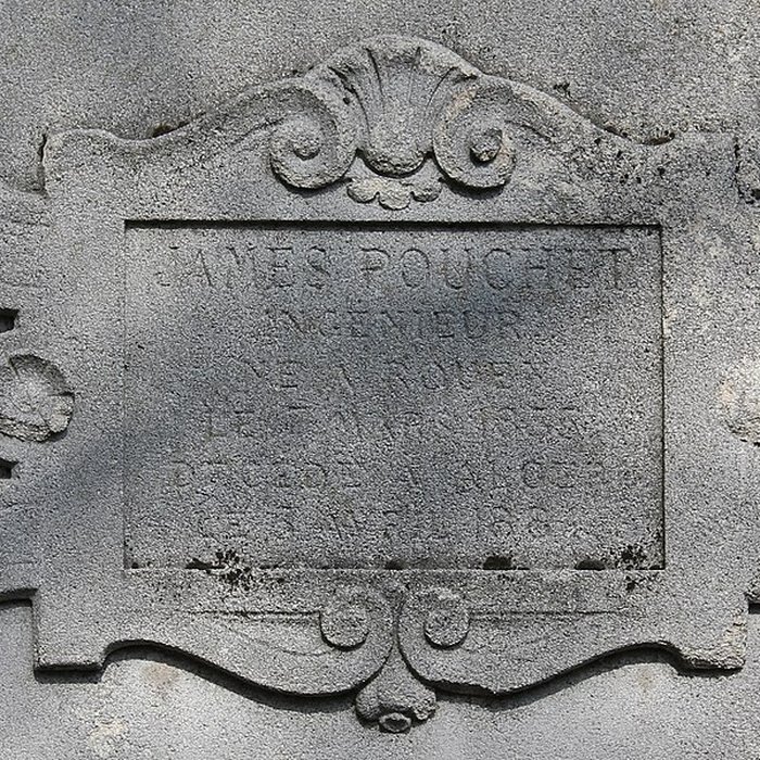 Photo de Muséum dhistoire naturelle de Rouen