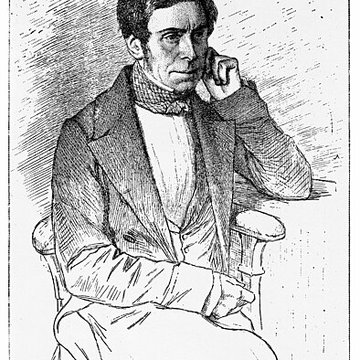 Muséum dhistoire naturelle de Rouen