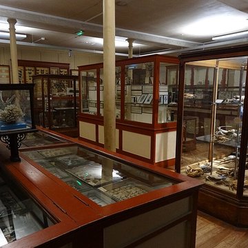 Muséum dhistoire naturelle de Rouen