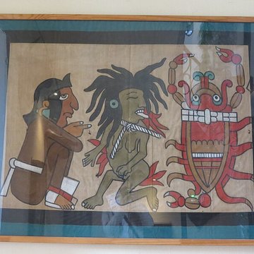 Muséum dhistoire naturelle de Rouen