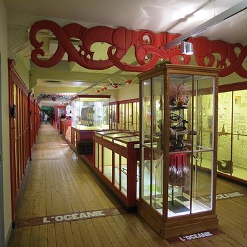 Muséum dhistoire naturelle de Rouen