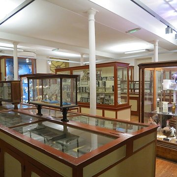 Muséum dhistoire naturelle de Rouen