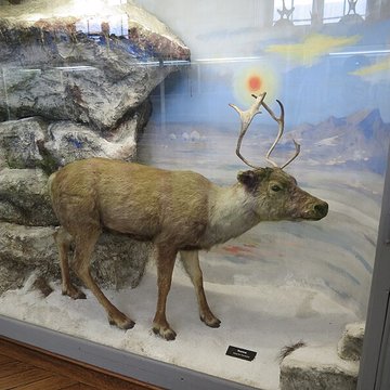 Muséum dhistoire naturelle de Rouen