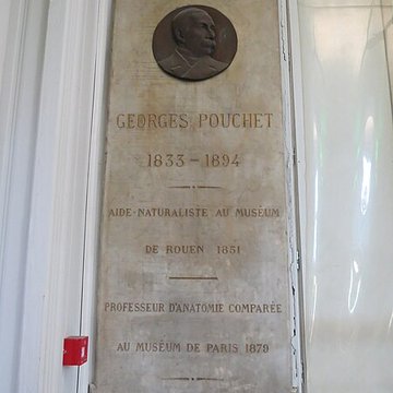 Muséum dhistoire naturelle de Rouen