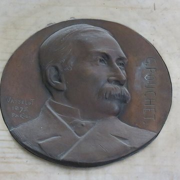 Muséum dhistoire naturelle de Rouen