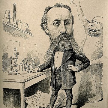 Muséum dhistoire naturelle de Rouen