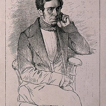 Muséum dhistoire naturelle de Rouen