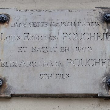 Muséum dhistoire naturelle de Rouen