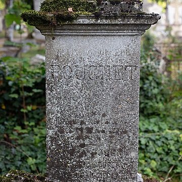 Muséum dhistoire naturelle de Rouen
