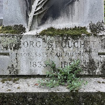 Muséum dhistoire naturelle de Rouen