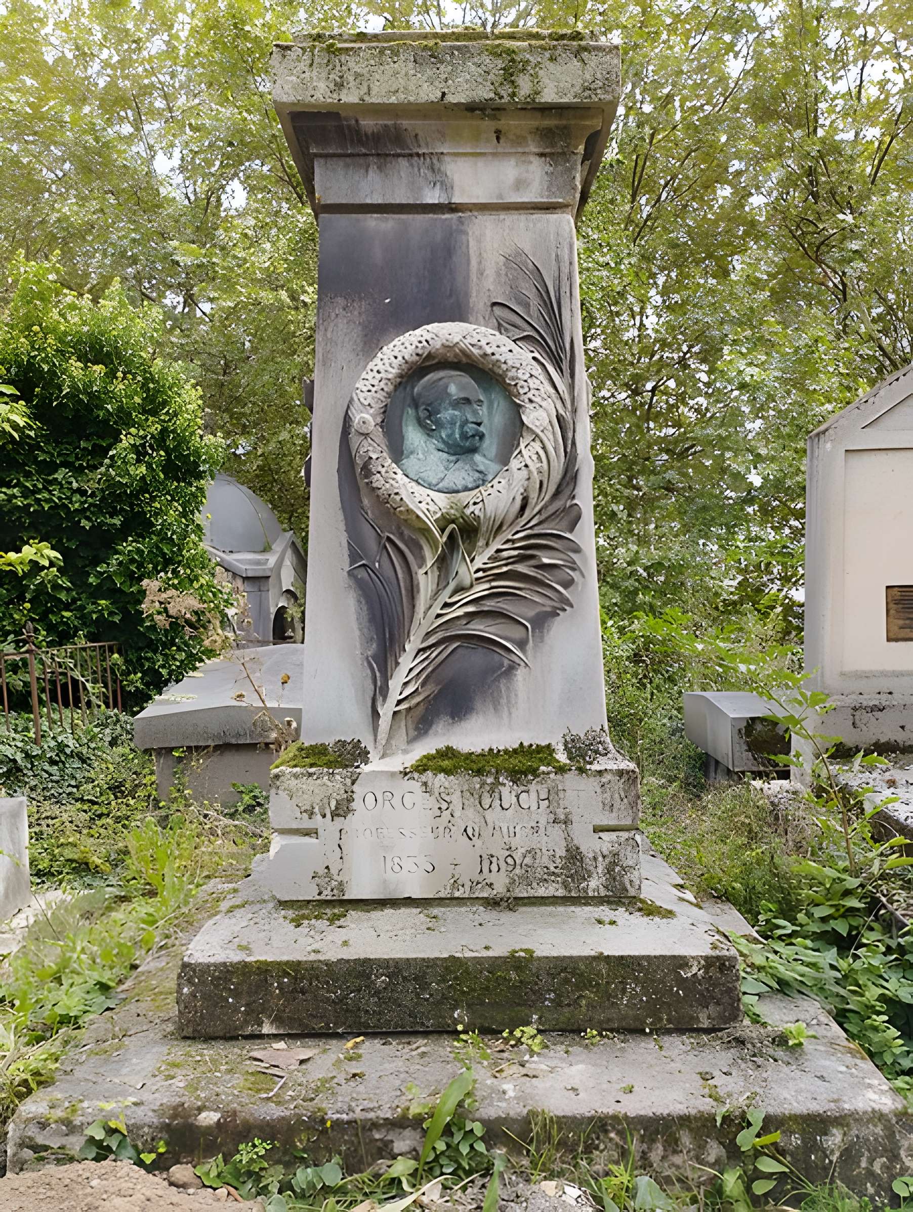 Muséum d'histoire naturelle de Rouen