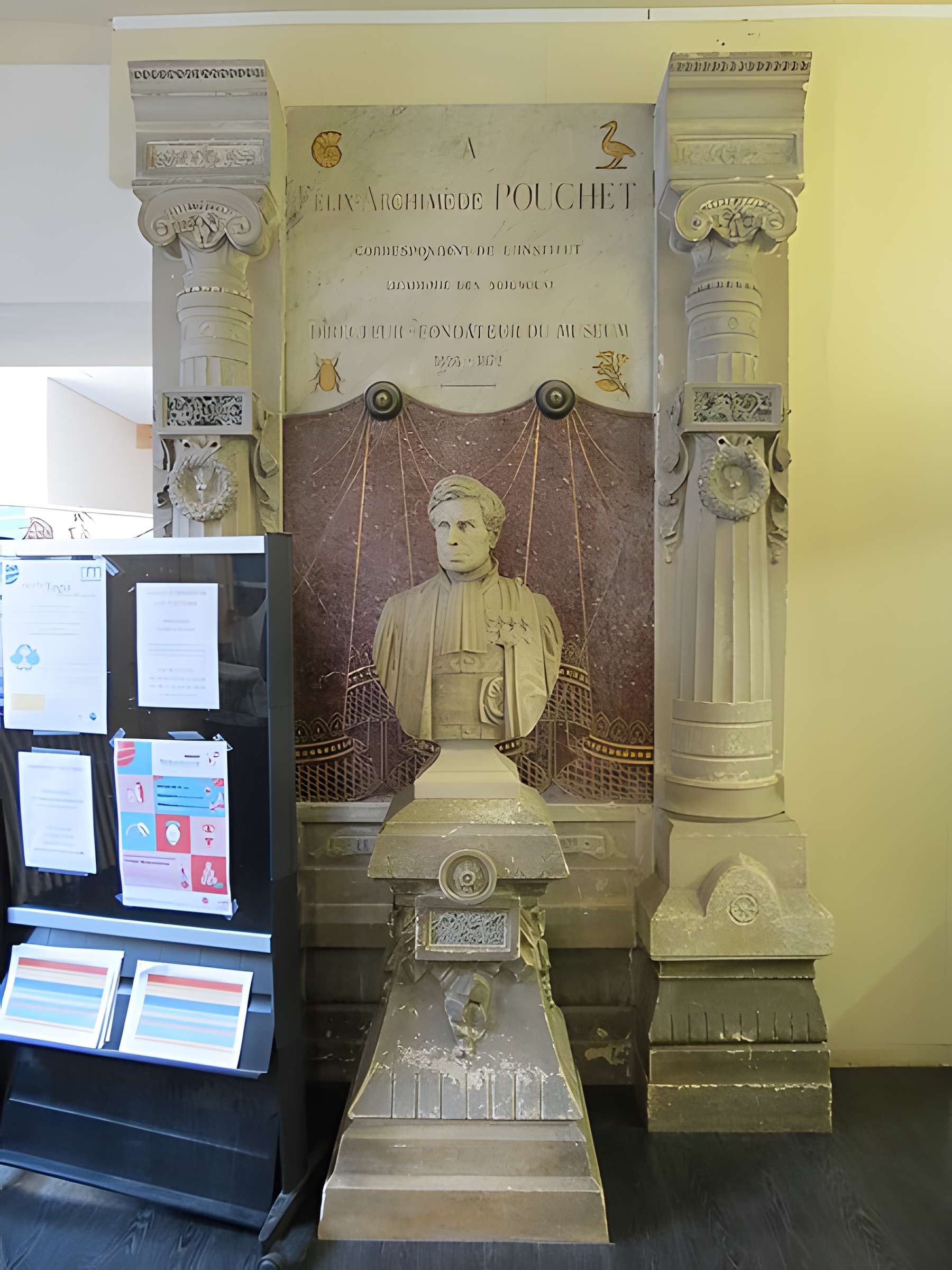 Muséum d'histoire naturelle de Rouen