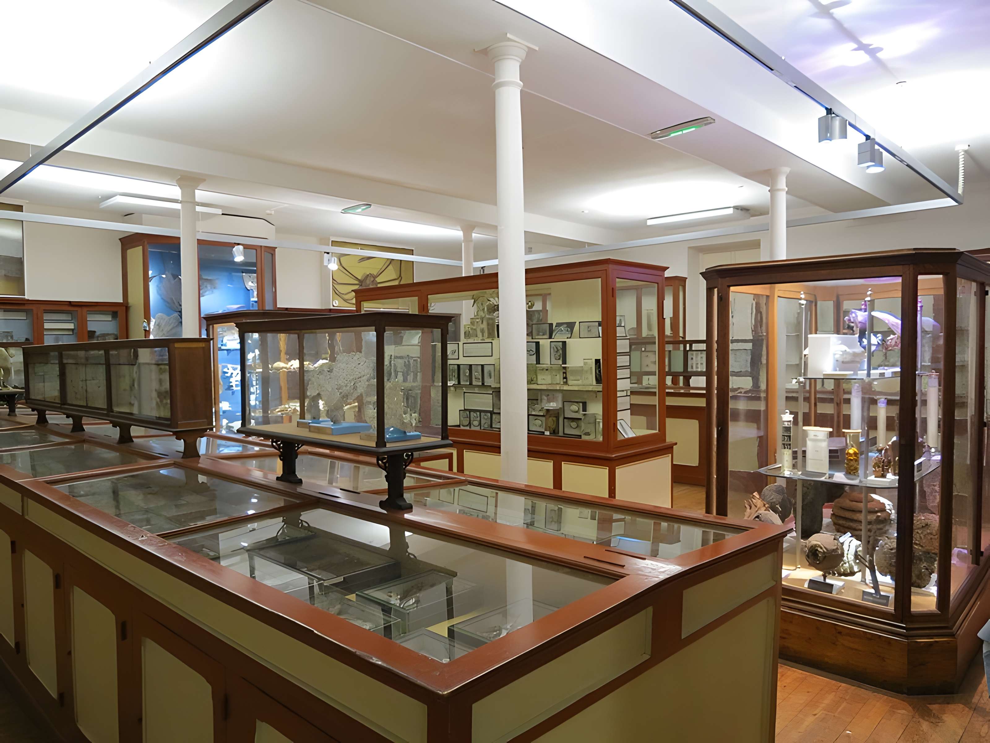 Muséum d'histoire naturelle de Rouen