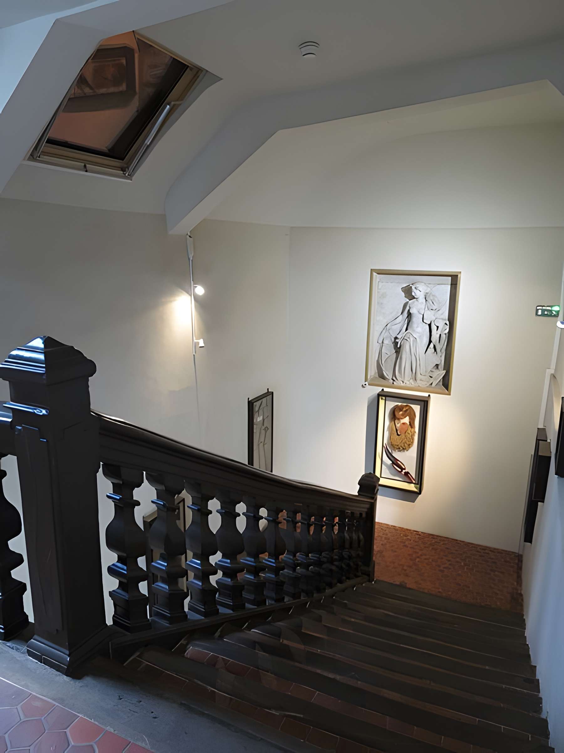 Muséum d'histoire naturelle de Rouen