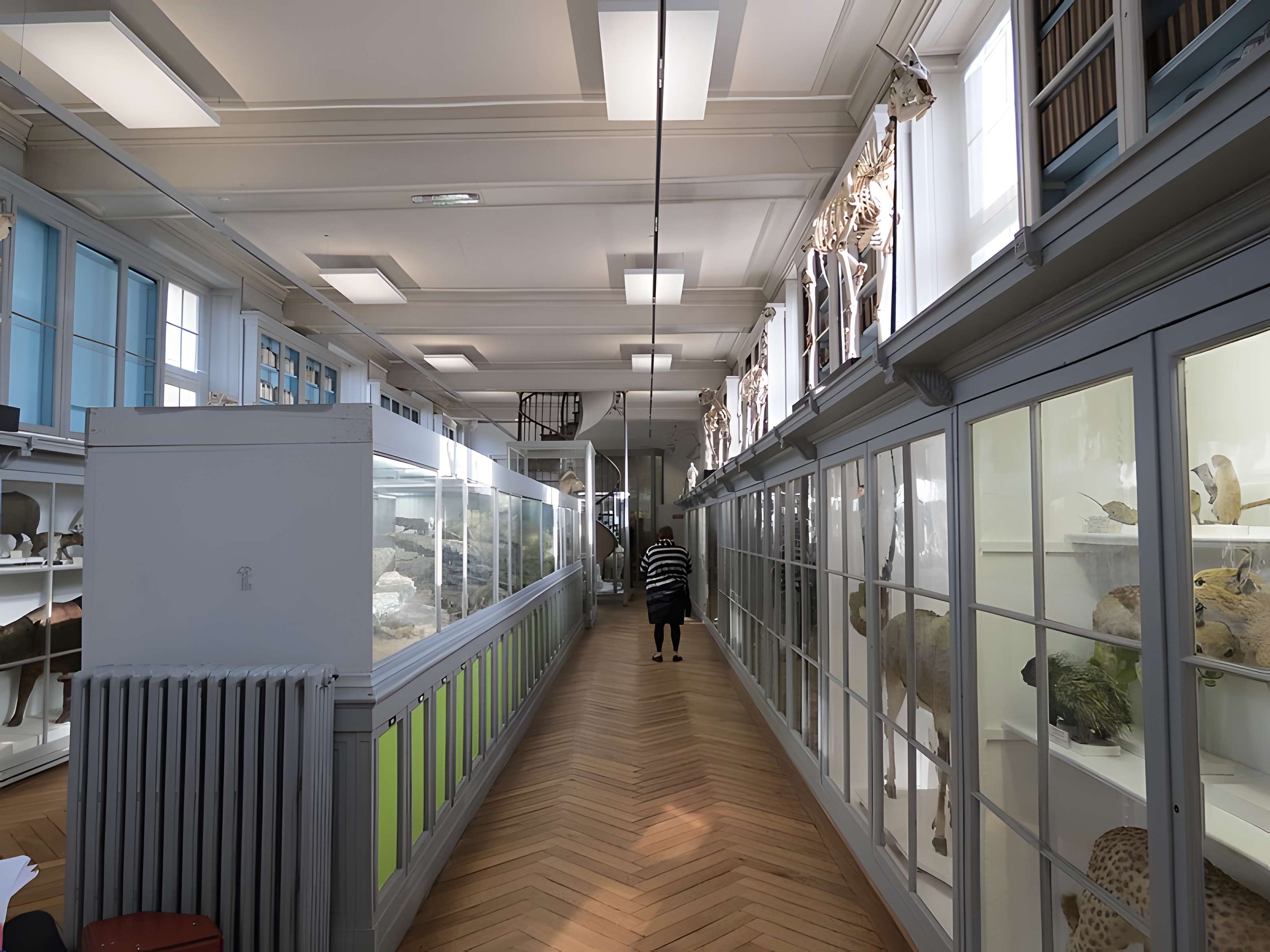 Muséum d'histoire naturelle de Rouen