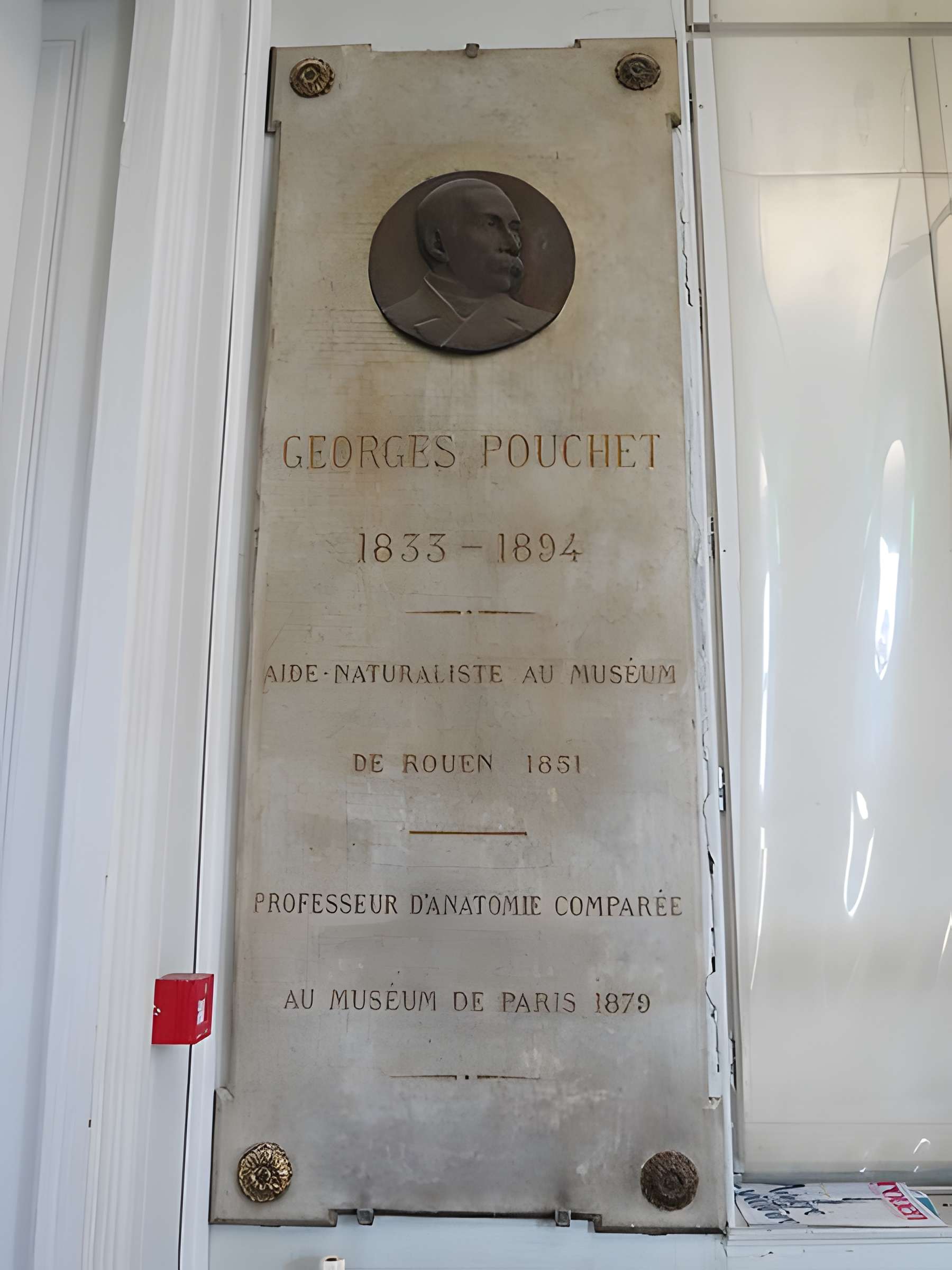 Muséum d'histoire naturelle de Rouen