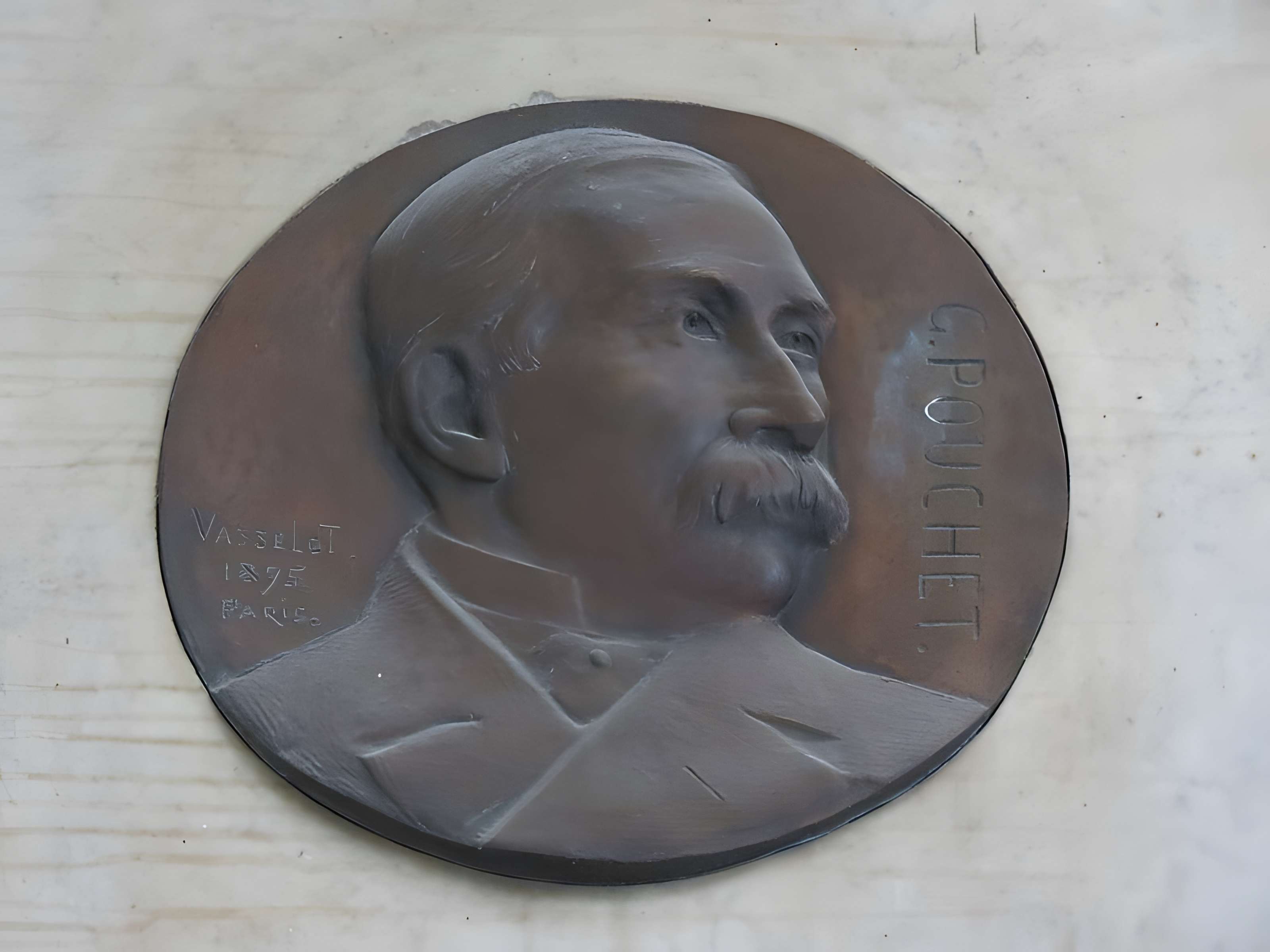 Muséum d'histoire naturelle de Rouen