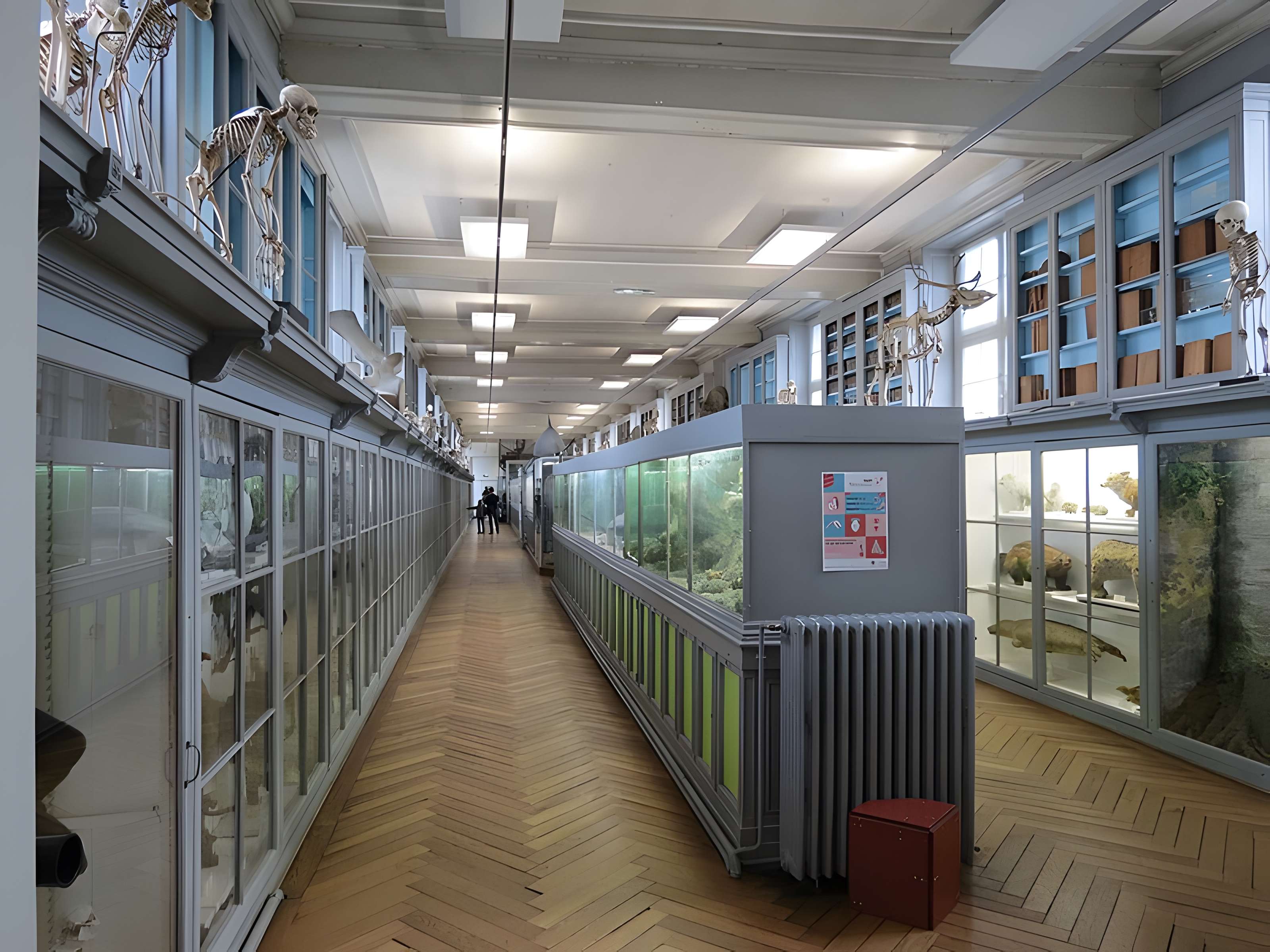 Muséum d'histoire naturelle de Rouen