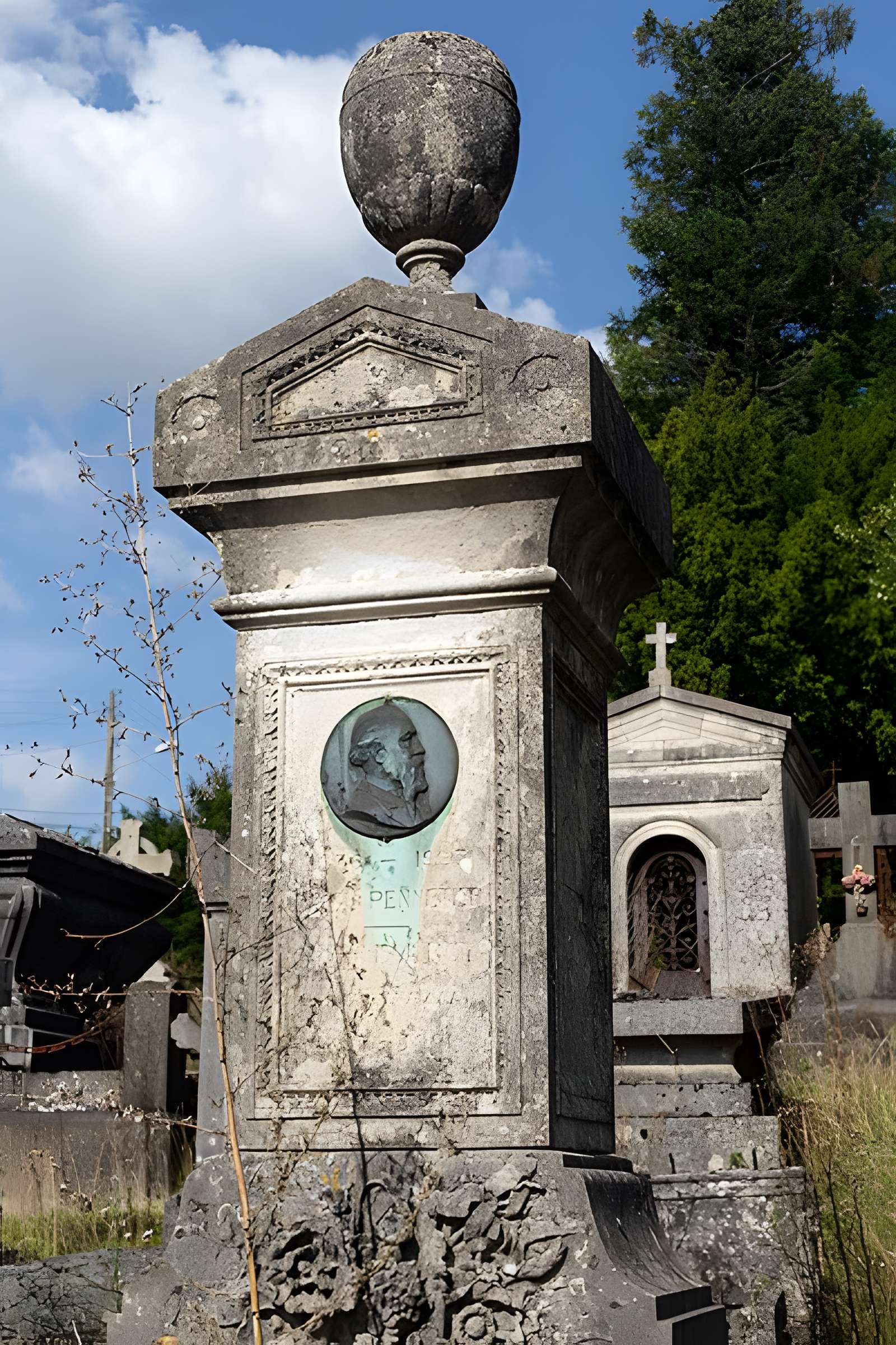 Muséum d'histoire naturelle de Rouen