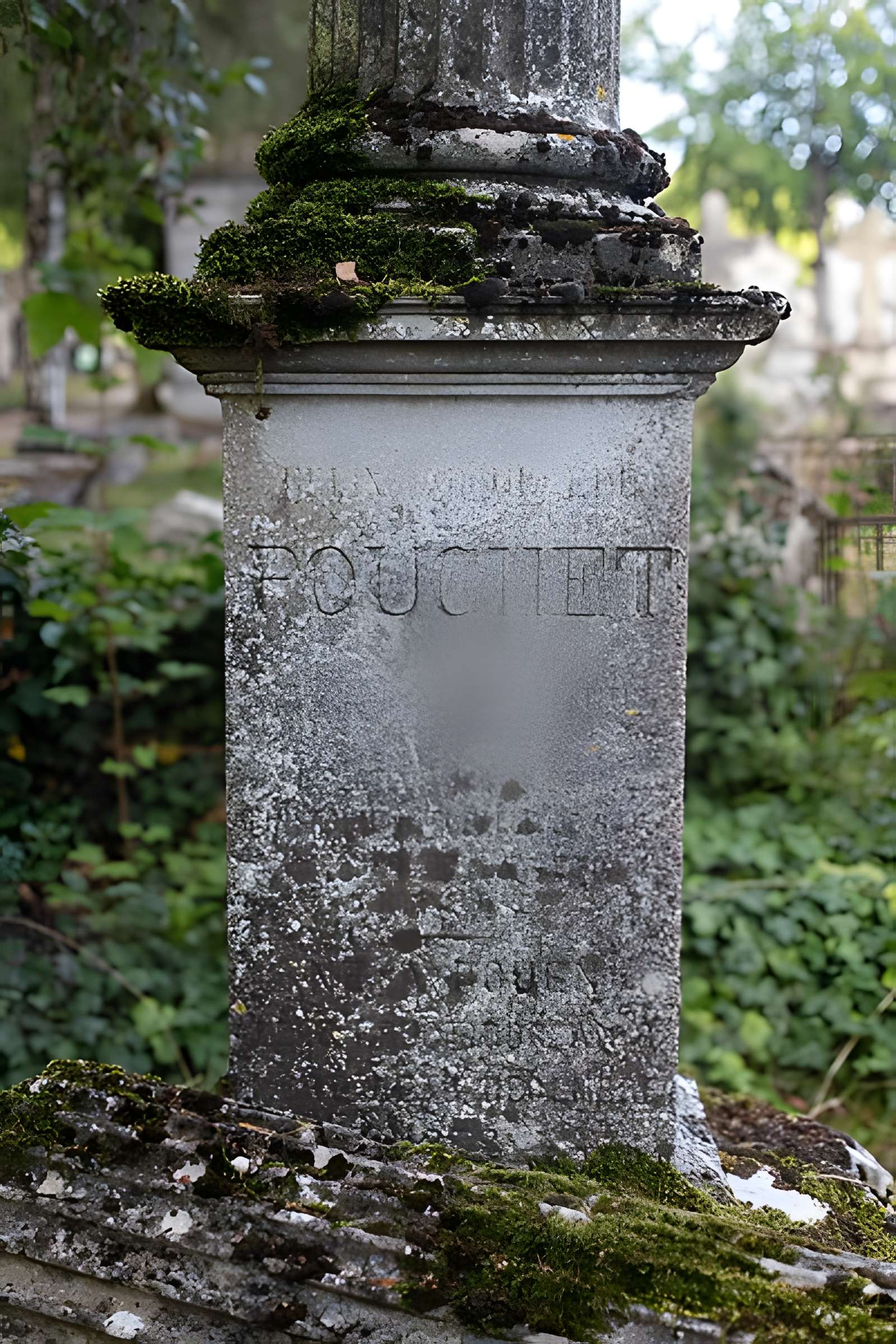 Muséum d'histoire naturelle de Rouen
