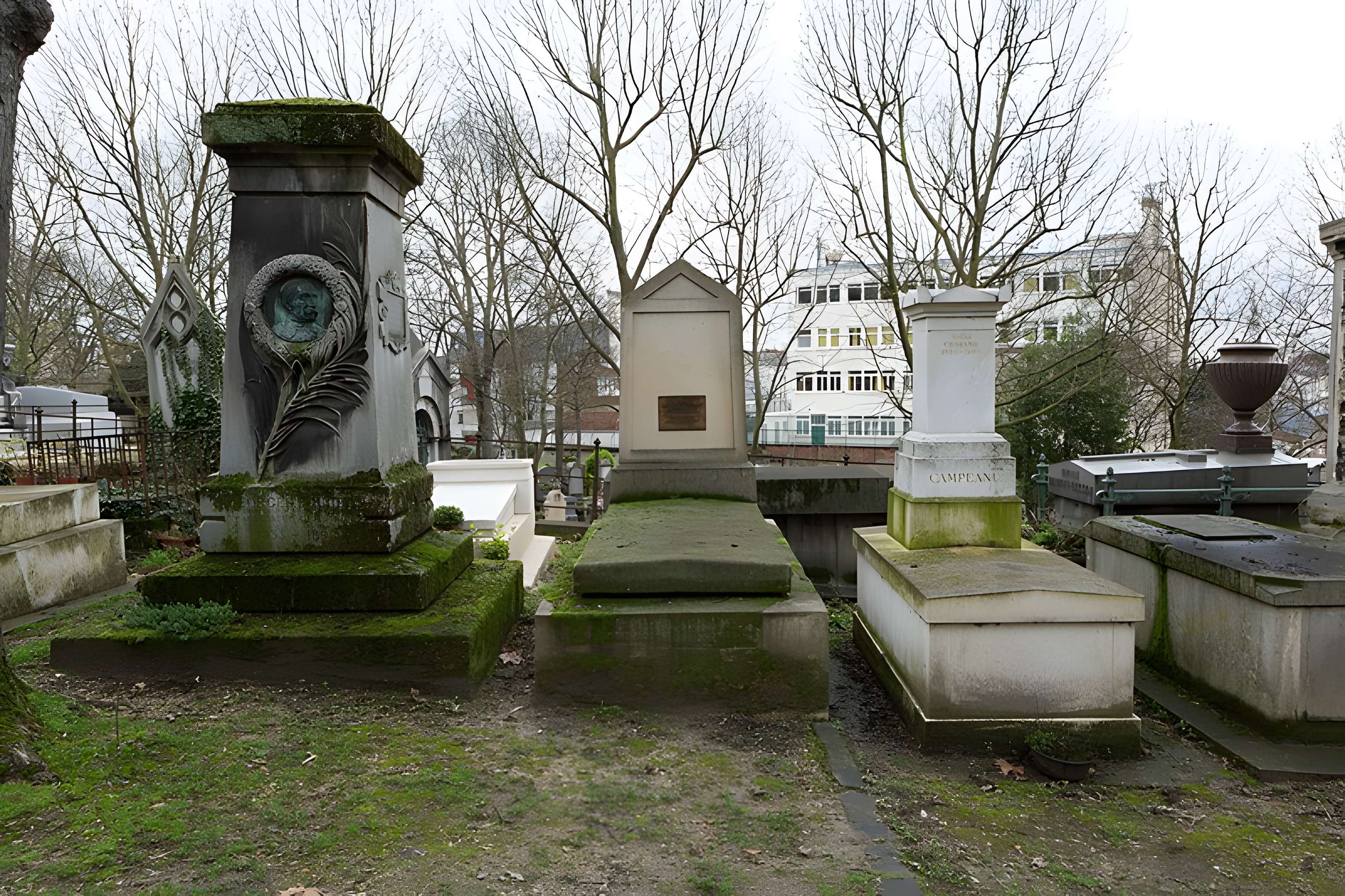 Muséum d'histoire naturelle de Rouen