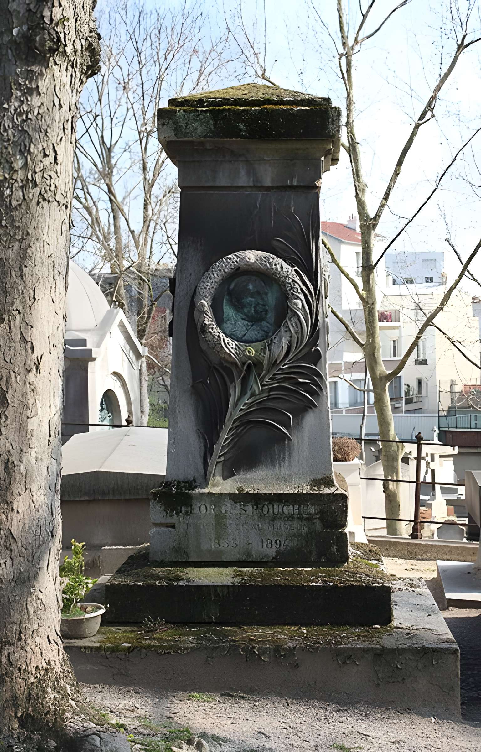 Muséum d'histoire naturelle de Rouen
