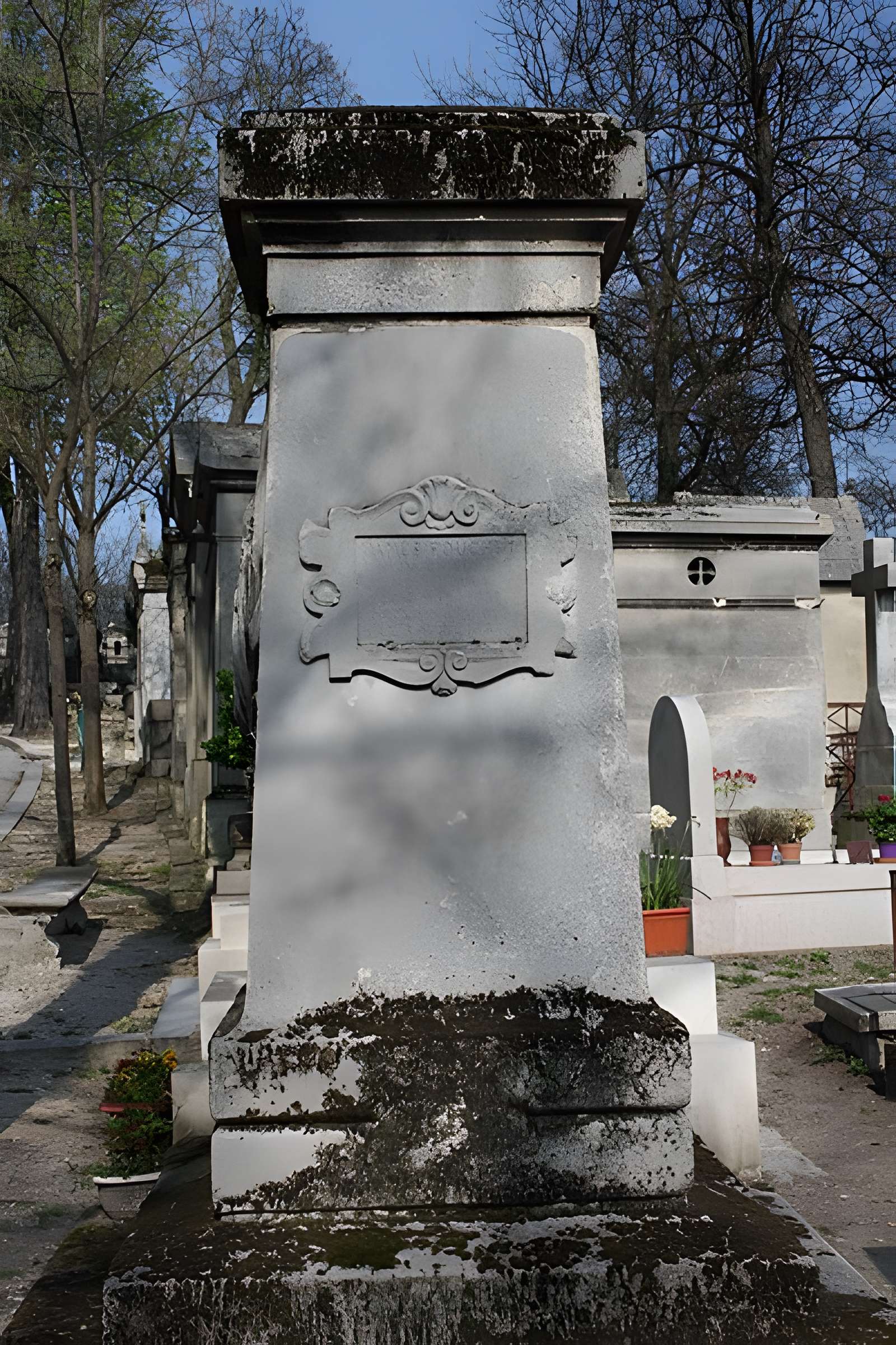 Muséum d'histoire naturelle de Rouen
