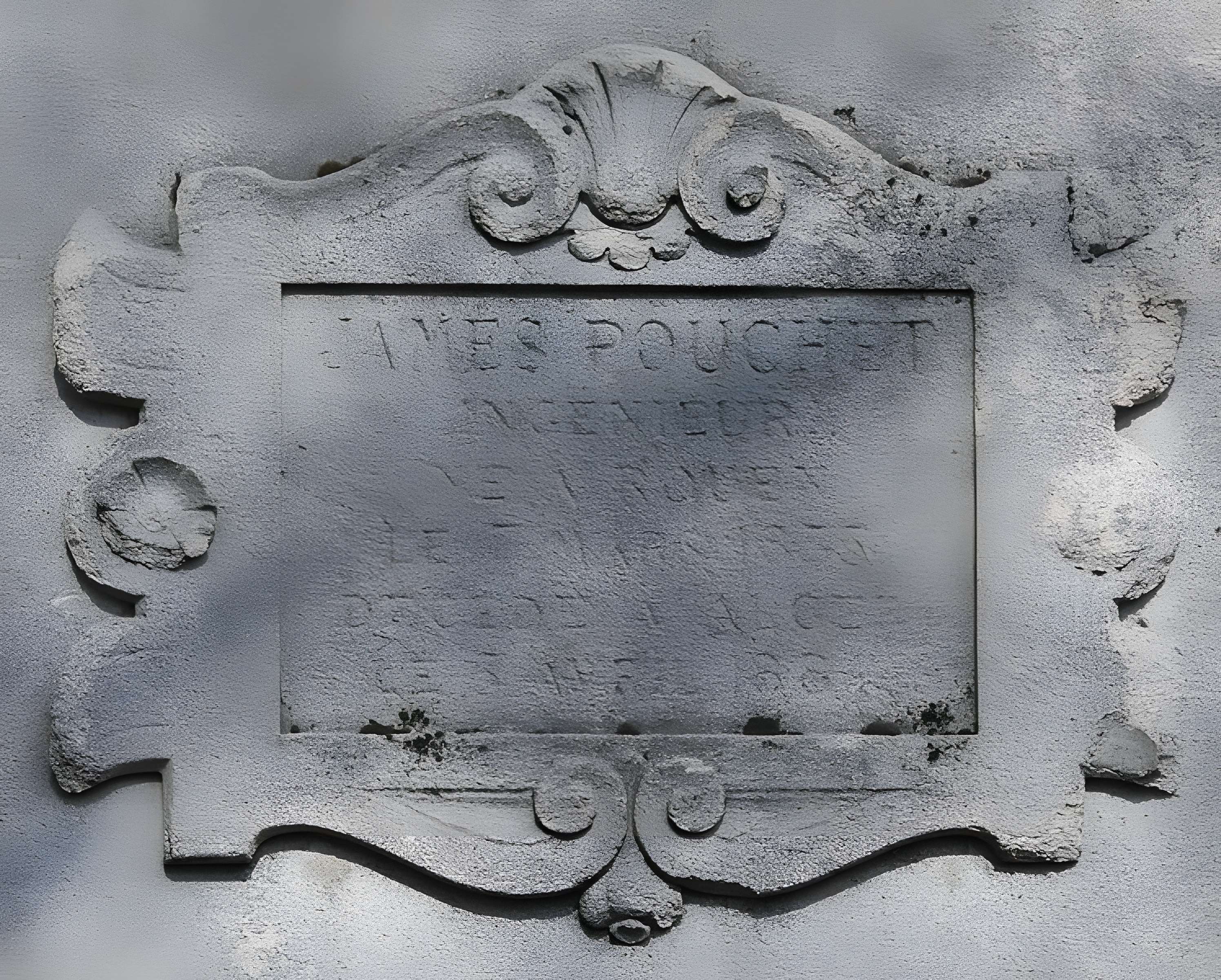 Muséum d'histoire naturelle de Rouen