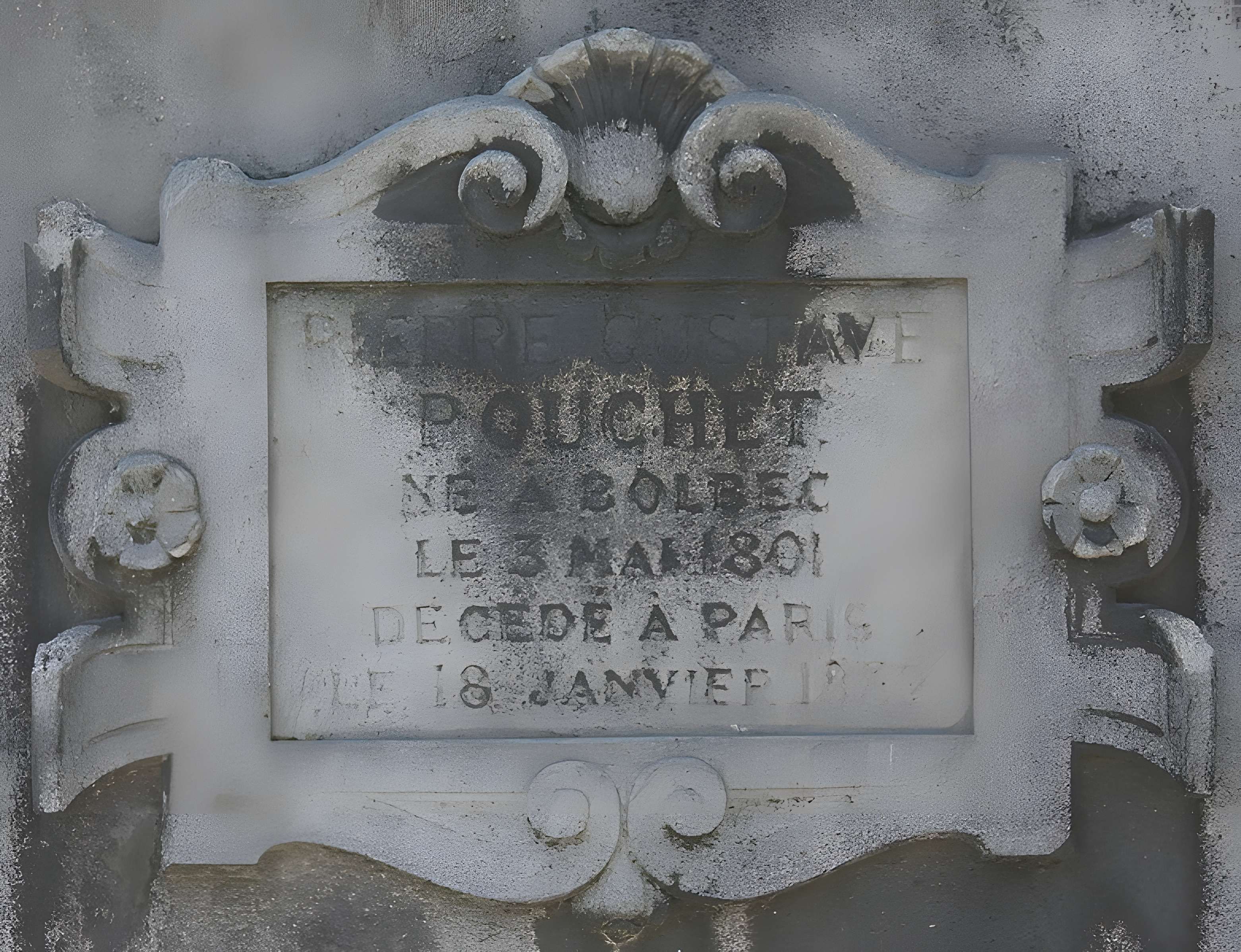 Muséum d'histoire naturelle de Rouen