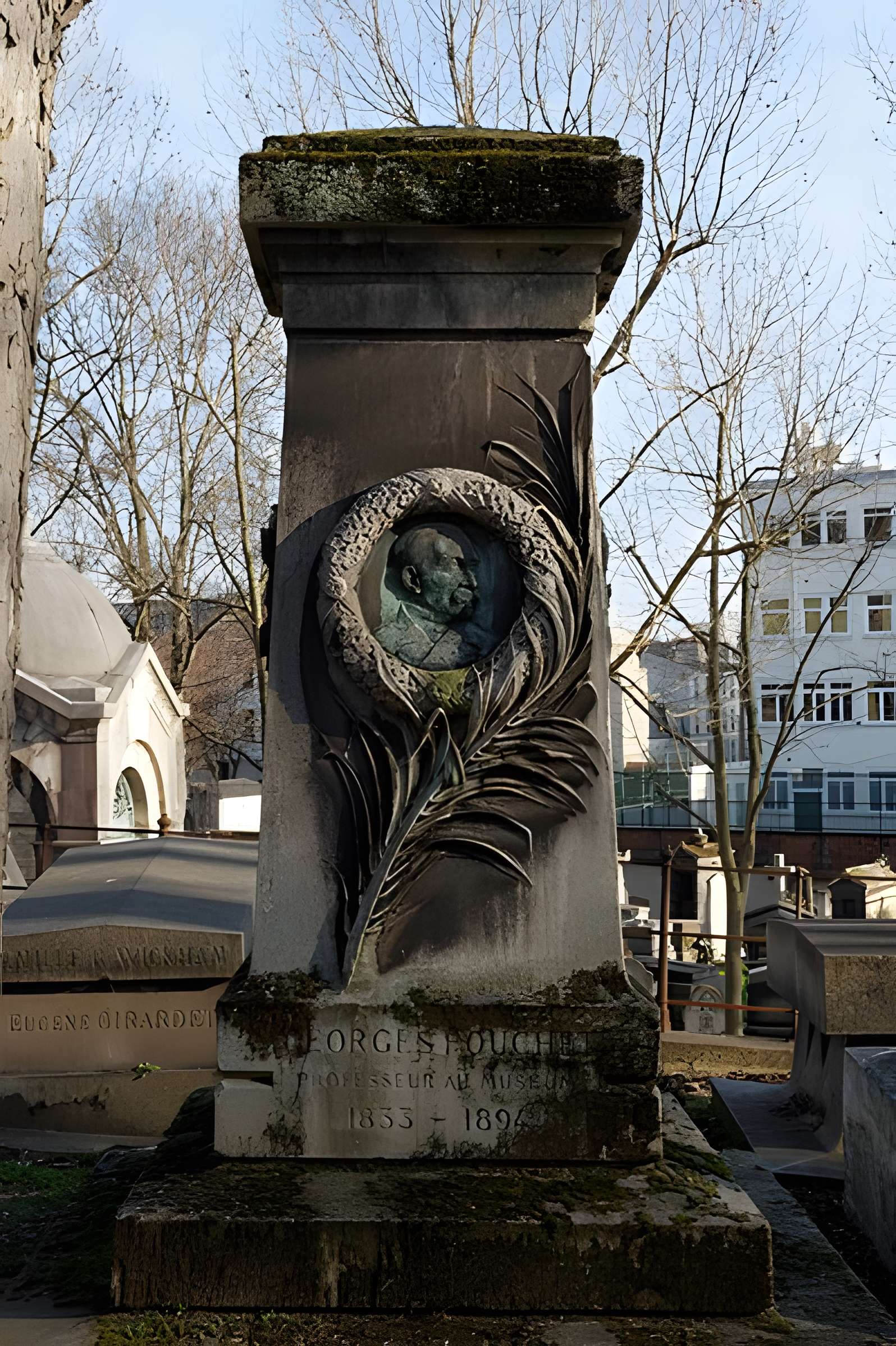 Muséum d'histoire naturelle de Rouen