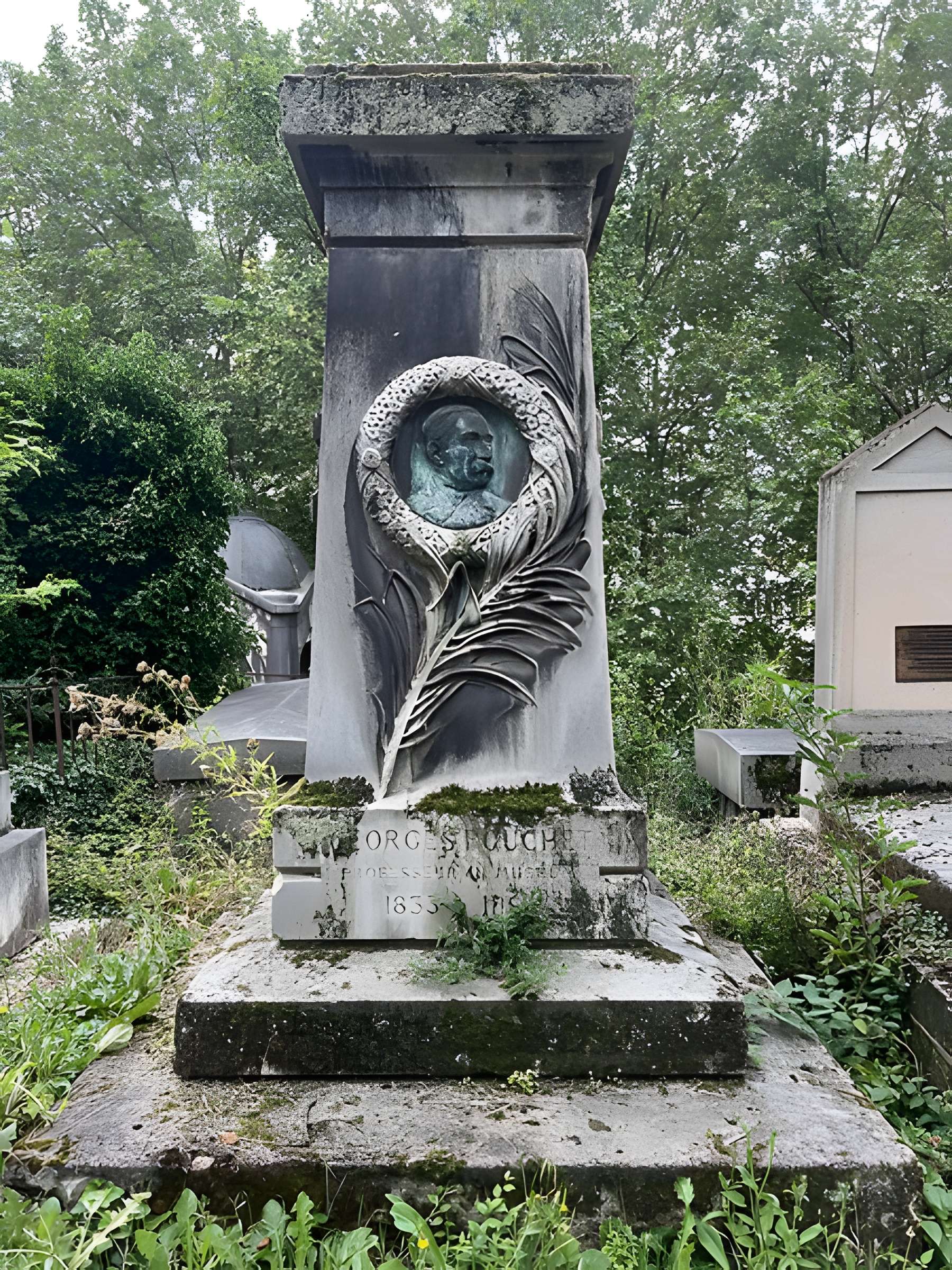 Muséum d'histoire naturelle de Rouen