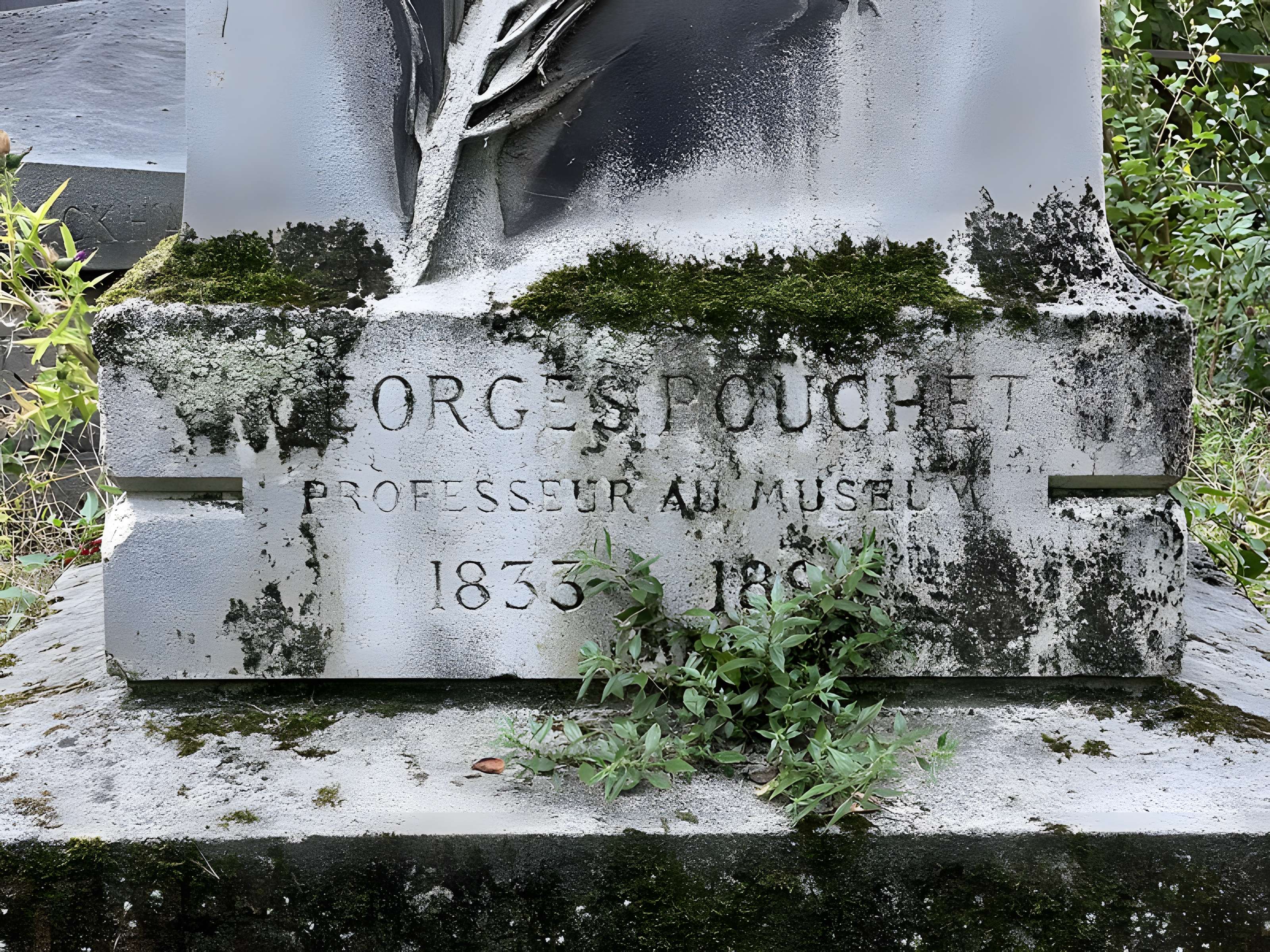 Muséum d'histoire naturelle de Rouen