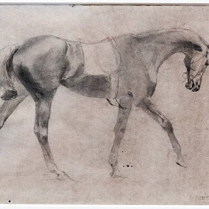 Photo de Musée dart moderne André-Malraux du Havre