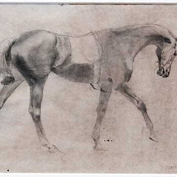 Musée dart moderne André-Malraux du Havre