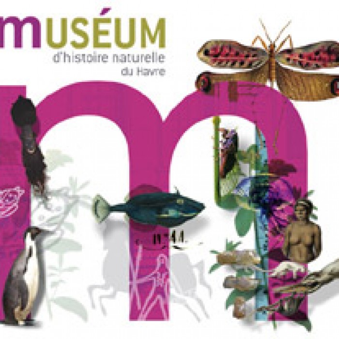 Photo de Muséum dhistoire naturelle du Havre
