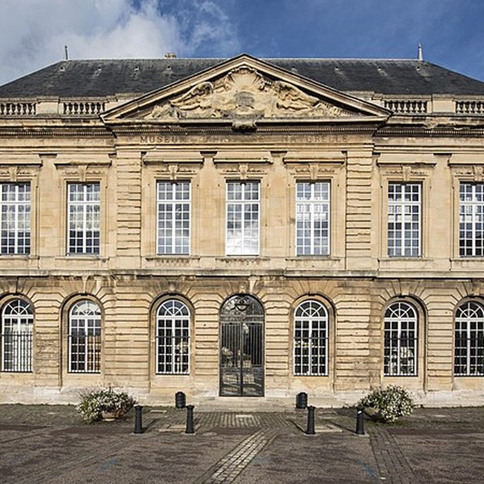 Photo de Muséum dhistoire naturelle du Havre