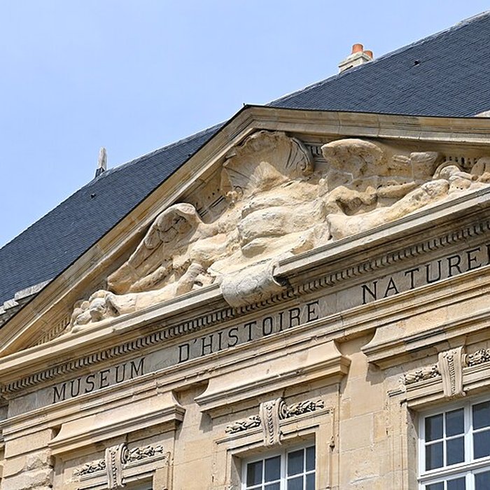 Photo de Muséum dhistoire naturelle du Havre