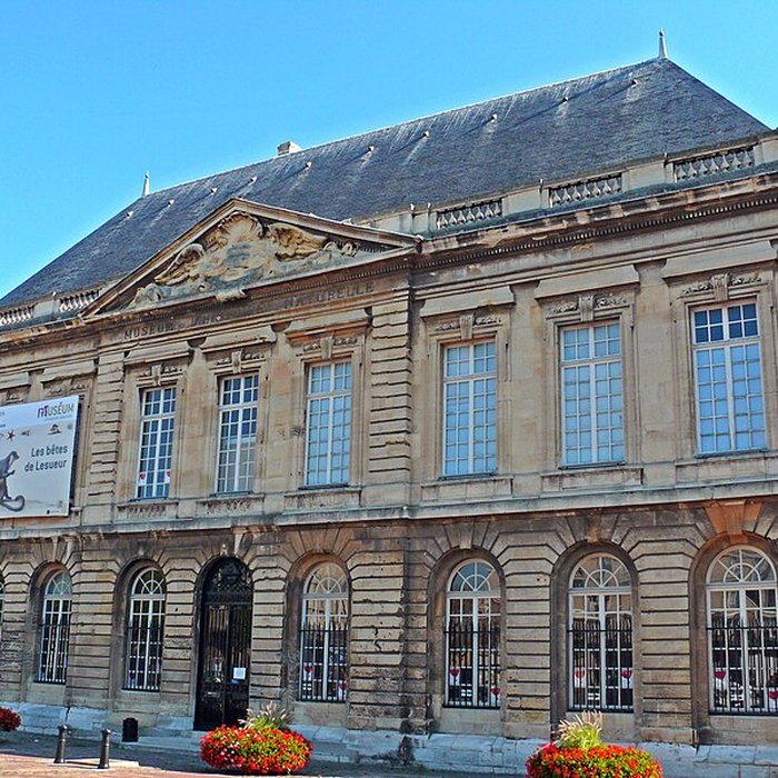 Photo de Muséum dhistoire naturelle du Havre