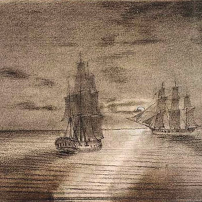 Photo de Muséum dhistoire naturelle du Havre