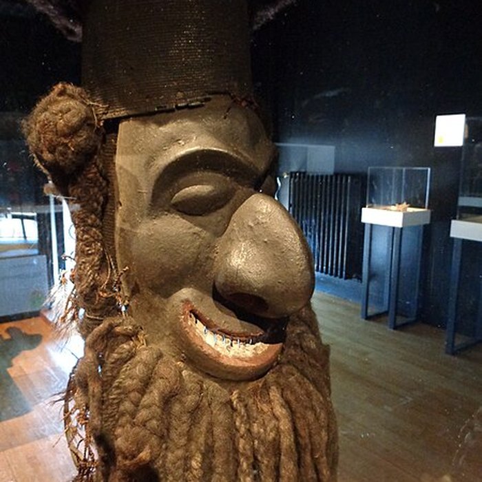 Photo de Muséum dhistoire naturelle du Havre