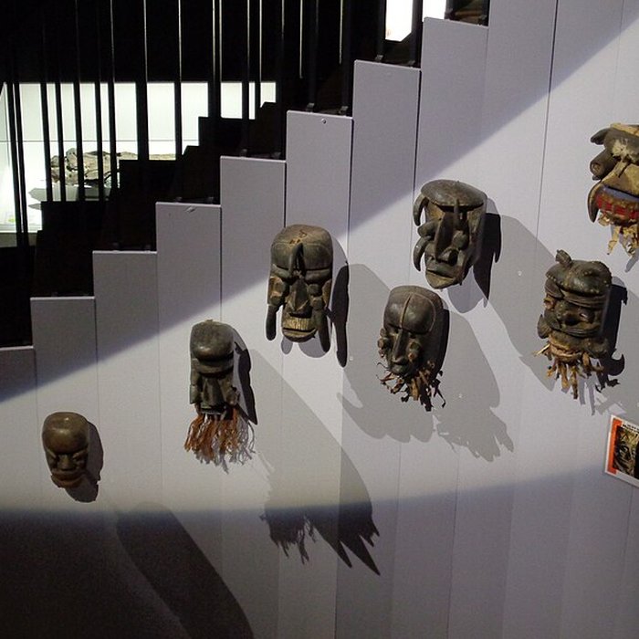 Photo de Muséum dhistoire naturelle du Havre