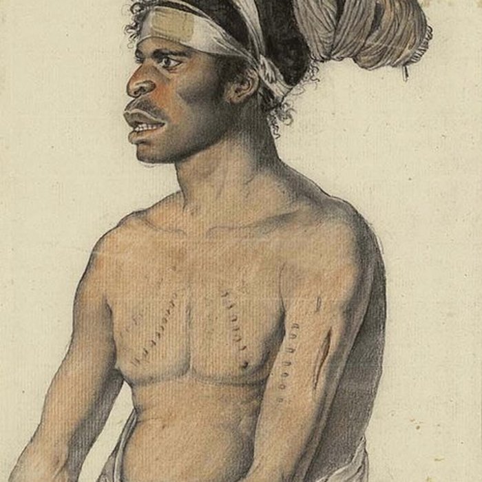 Photo de Muséum dhistoire naturelle du Havre