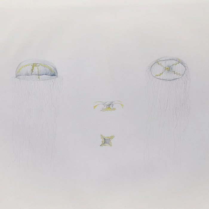 Photo de Muséum dhistoire naturelle du Havre