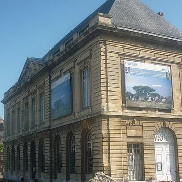 Muséum dhistoire naturelle du Havre