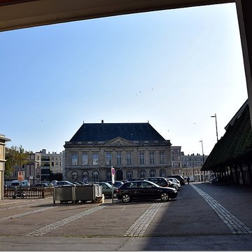 Muséum dhistoire naturelle du Havre